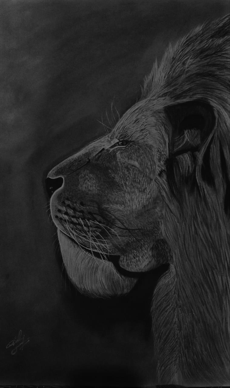 The Lion