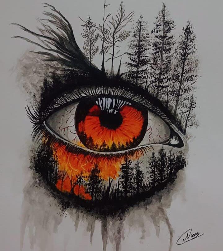 Forest Fire Eye
